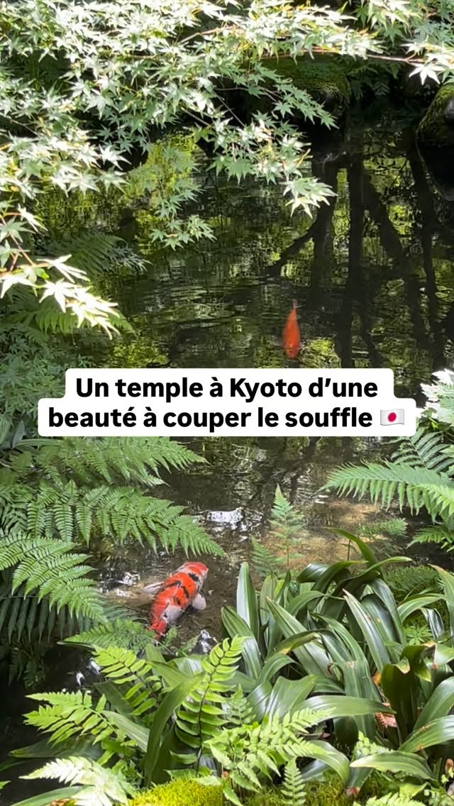 Rurikō-in Temple: A Beautiful Autumn Destination