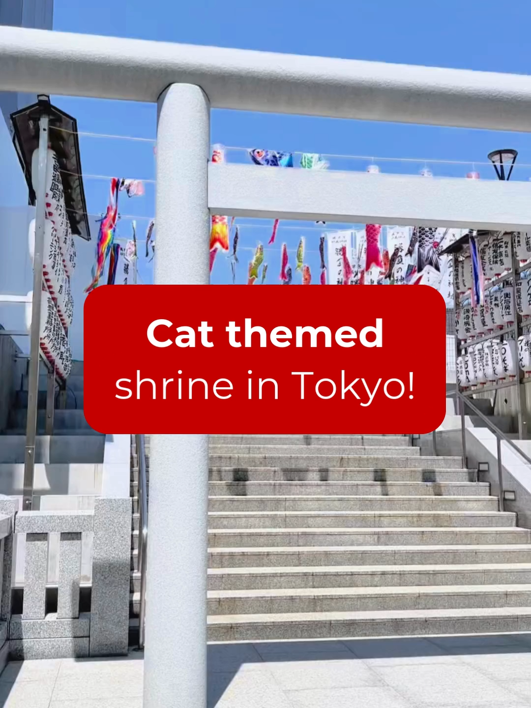 Tokyo's Cat Shrine and Sakura Post Box
