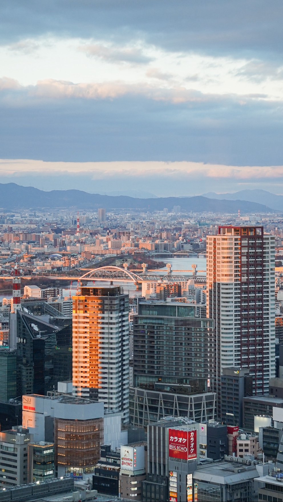 Osaka's Local Favorites: Okonomiyaki, Bakery, and More