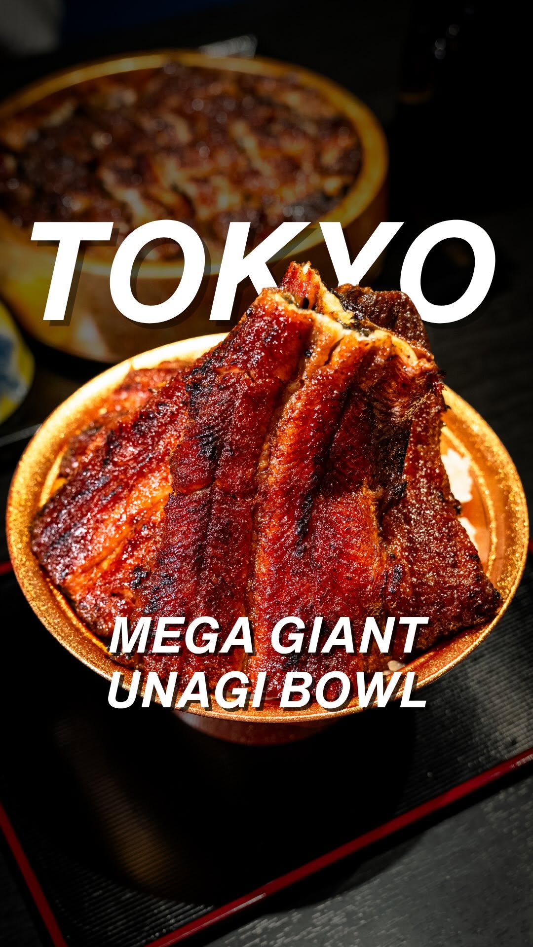 Tokyo Unagi Restaurant Serves Massive Eel Bowls
