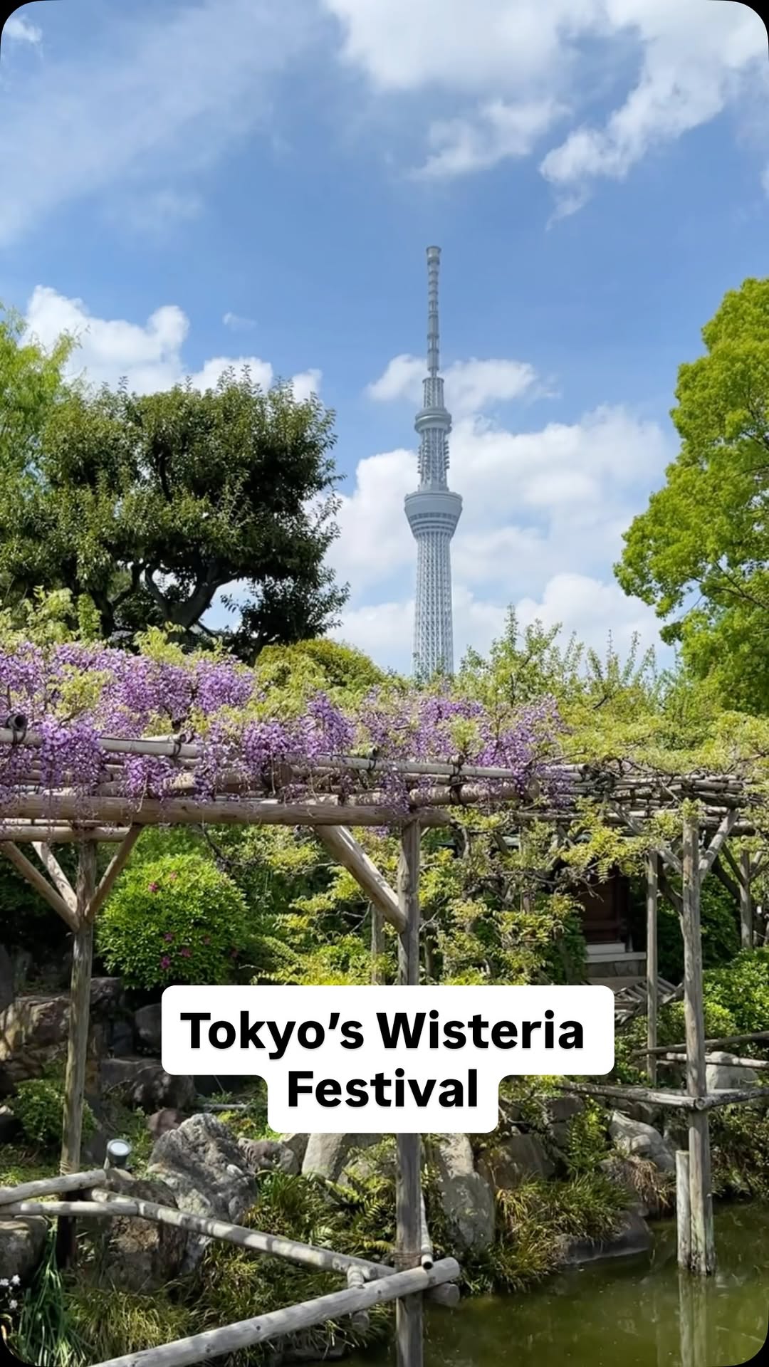 4 Attractions in Tokyo