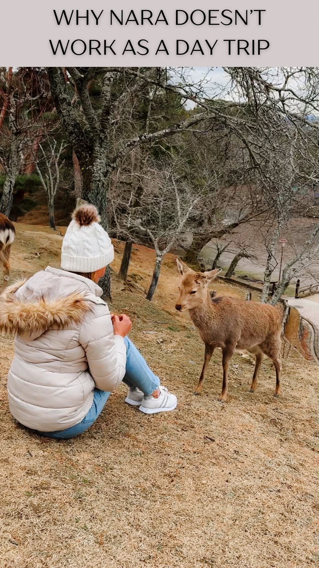 Nara's Deer Parks and Historic Sites