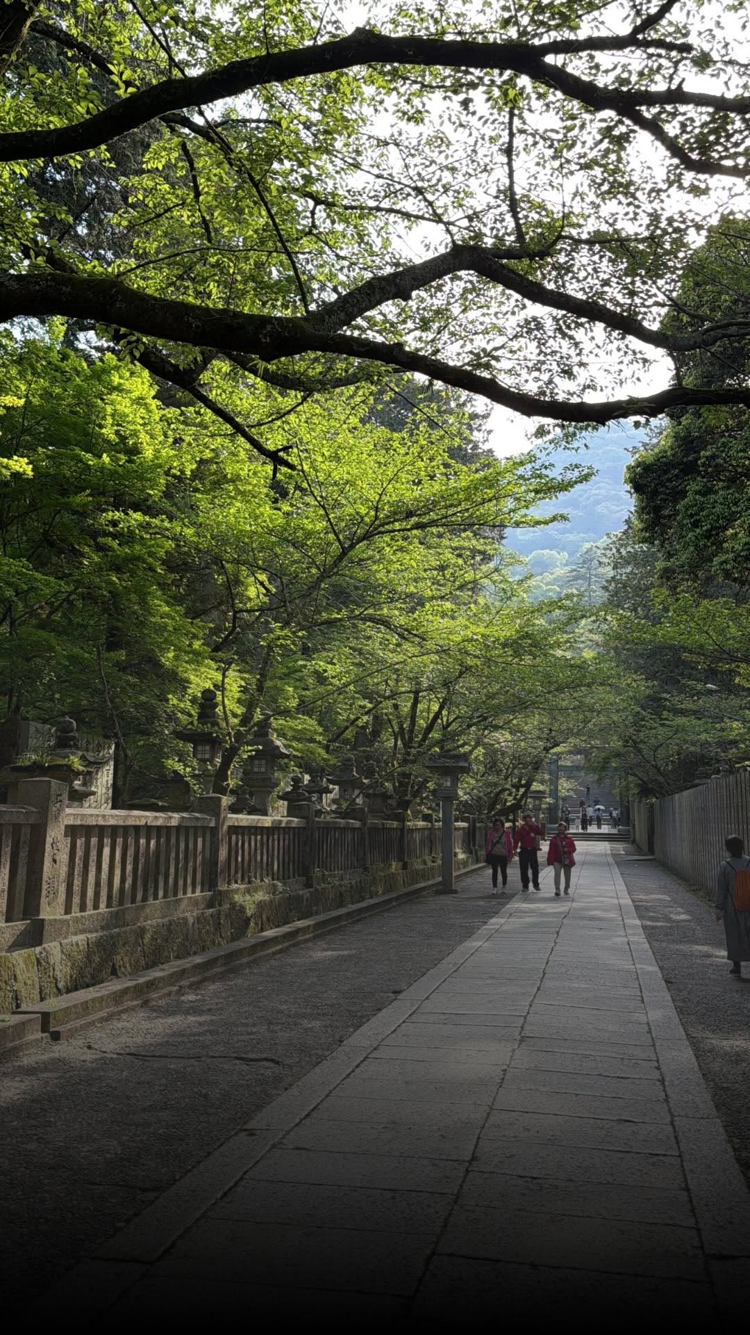 OHAKO 十八番, Kotohiragu