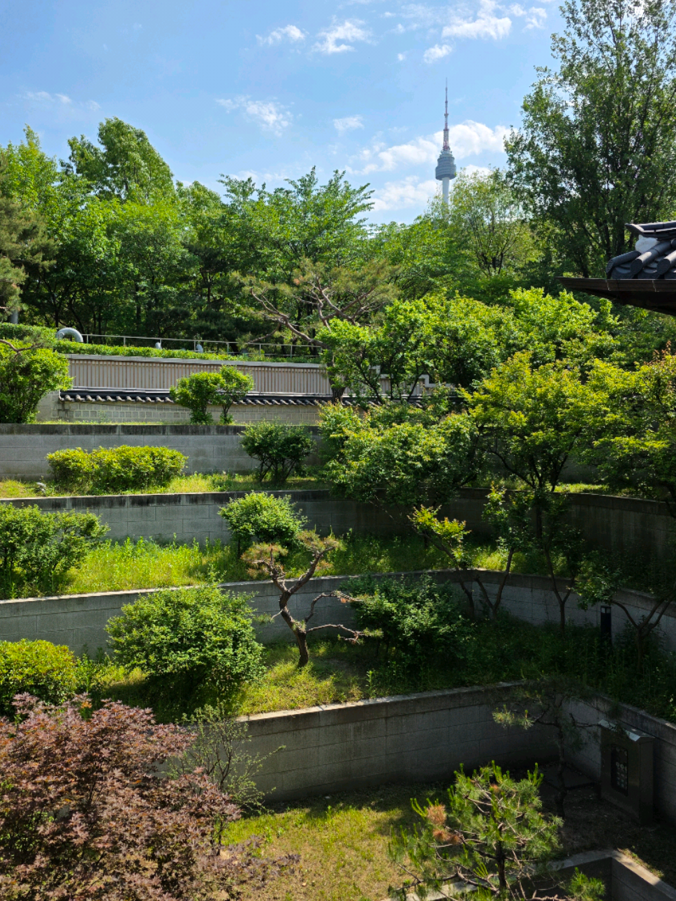 Namsangol: Seoul's Cultural Heart and Peaceful Oasis