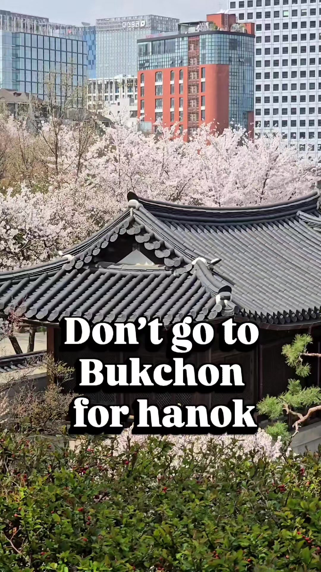Seoul's Hanok Villages and Cultural Experiences