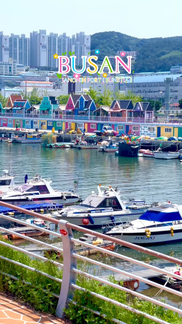 Colorful Jangnim Port's Vibrant Charm