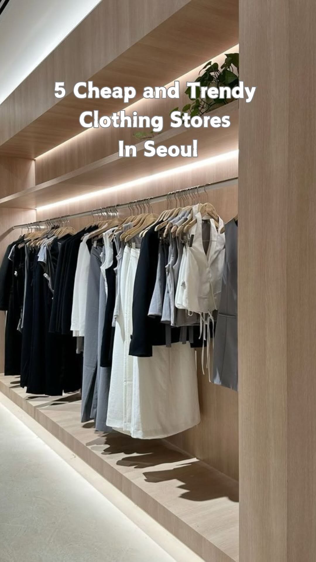 Seoul's Affordable & Trendy Clothing Destinations