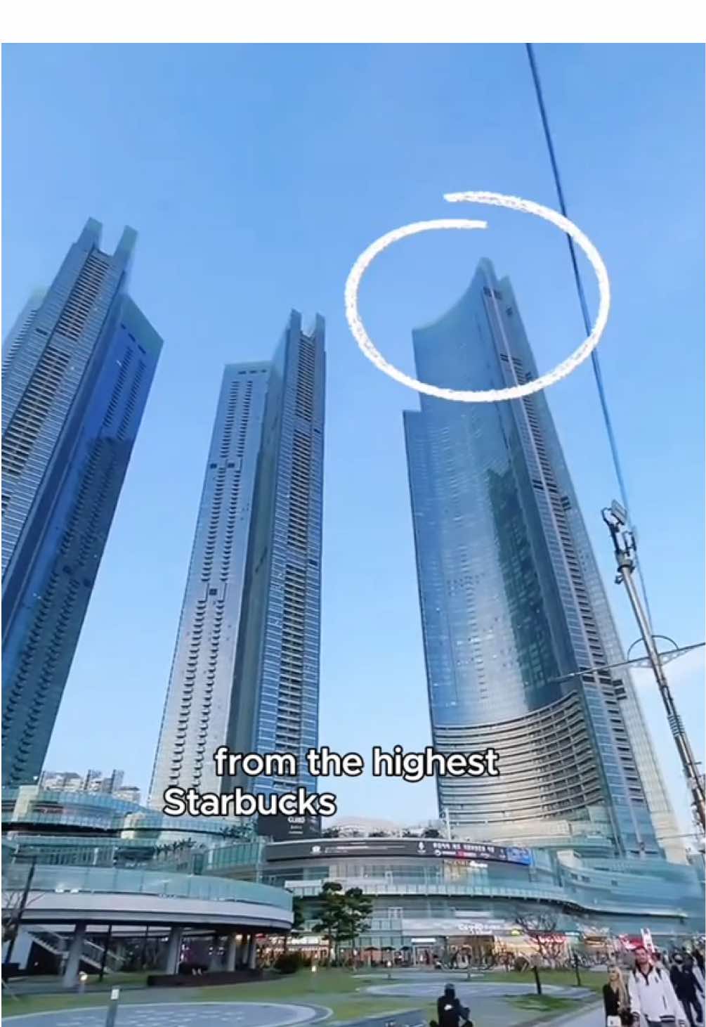 5 Cafes in Busan