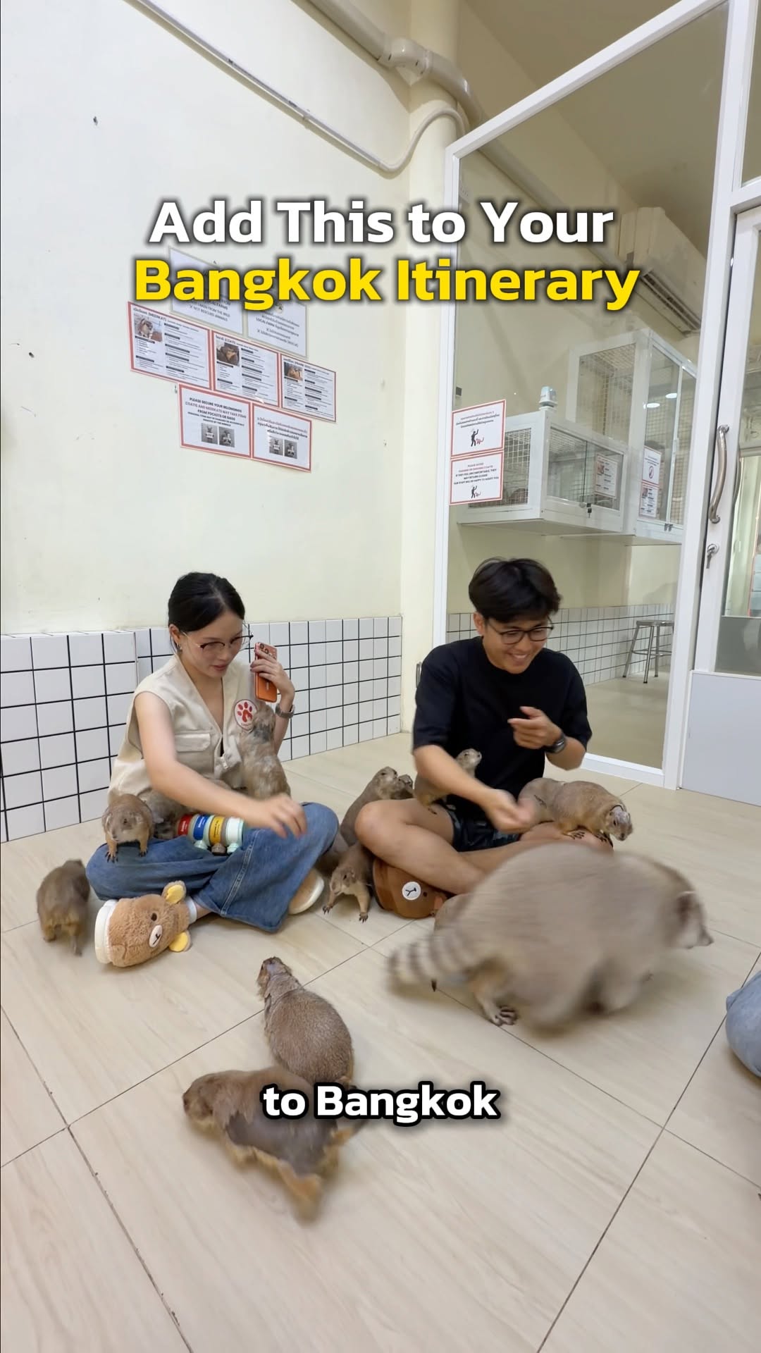 6 Shops in Krung Thep Maha Nakhon