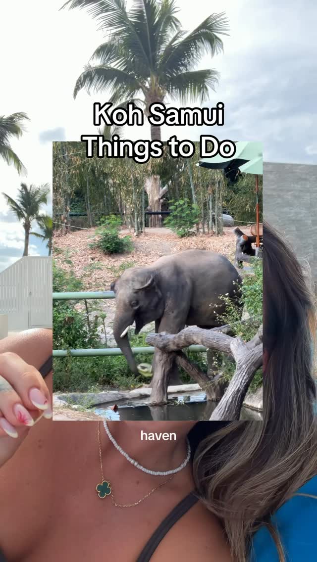 Island Animal Encounters