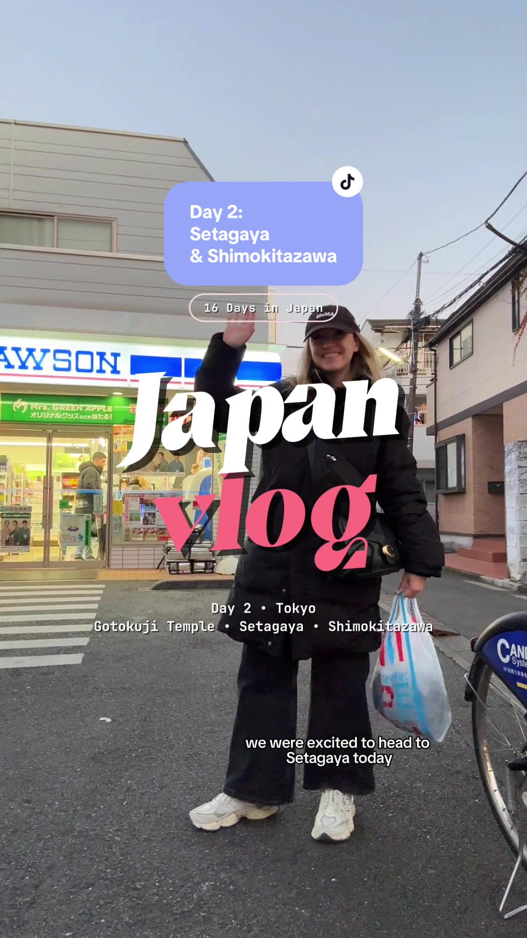 Setagaya's Lucky Cats and Vintage Shops
