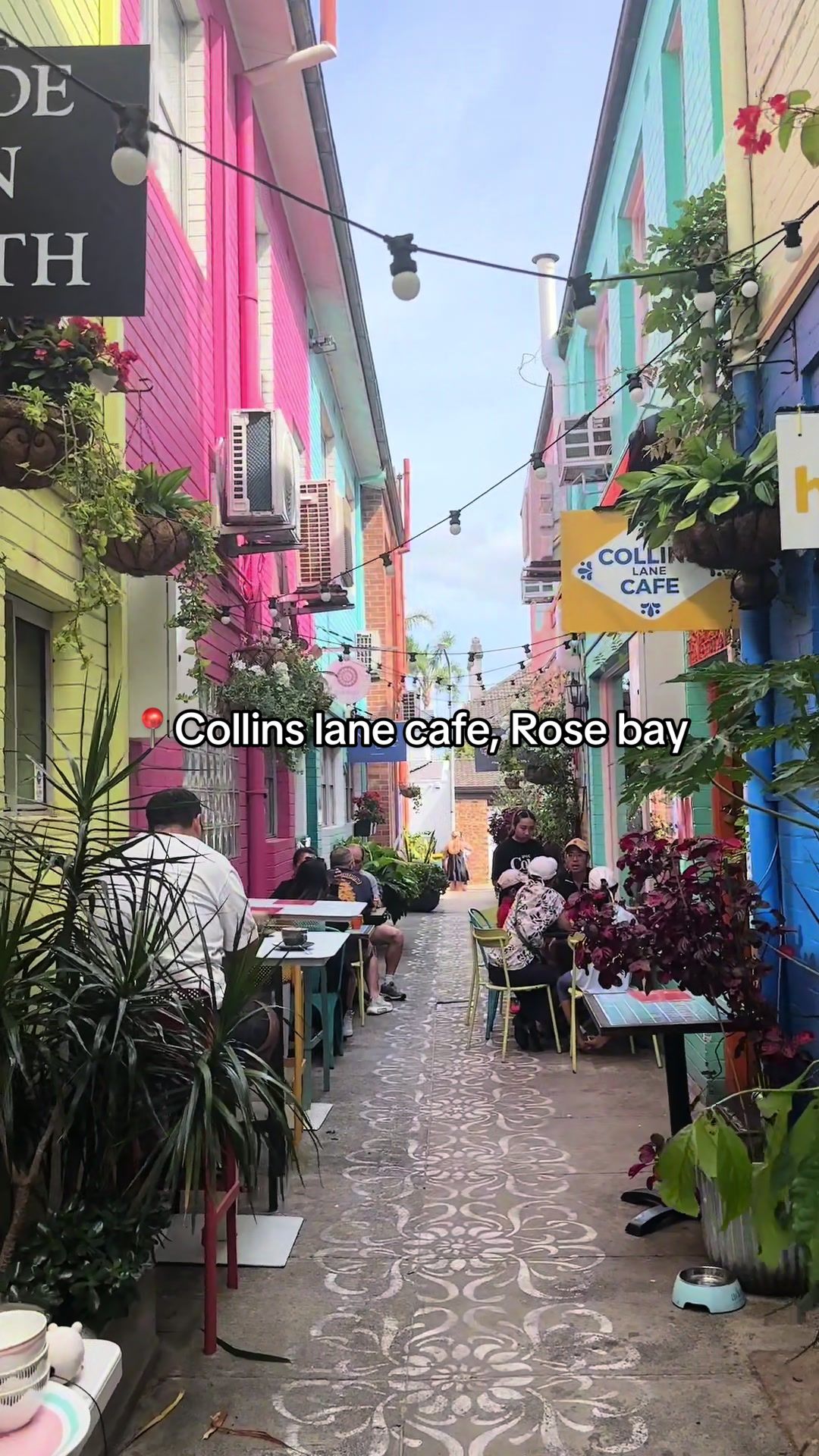 3 Places in Rose Bay