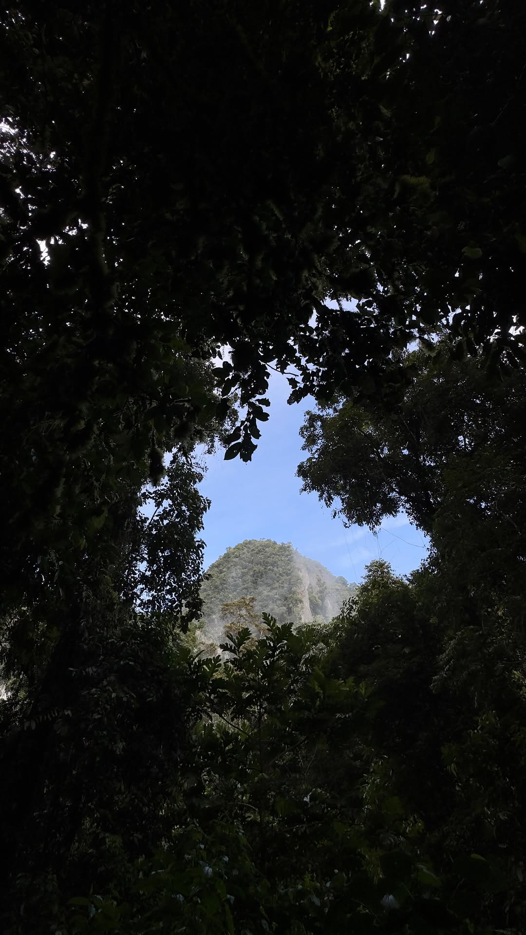 Deer Cave And Gunung Mulu National Park
