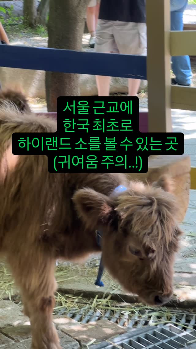 2 Parks in Pocheon-si