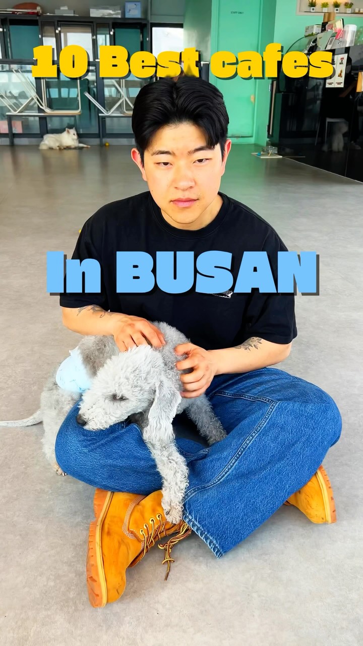 8 Cafes in Busan
