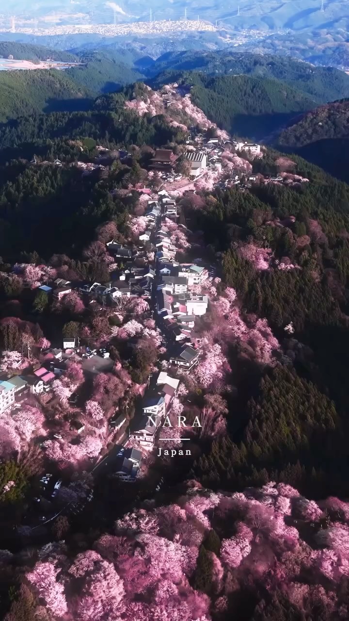 1 Nature spots in Yoshino