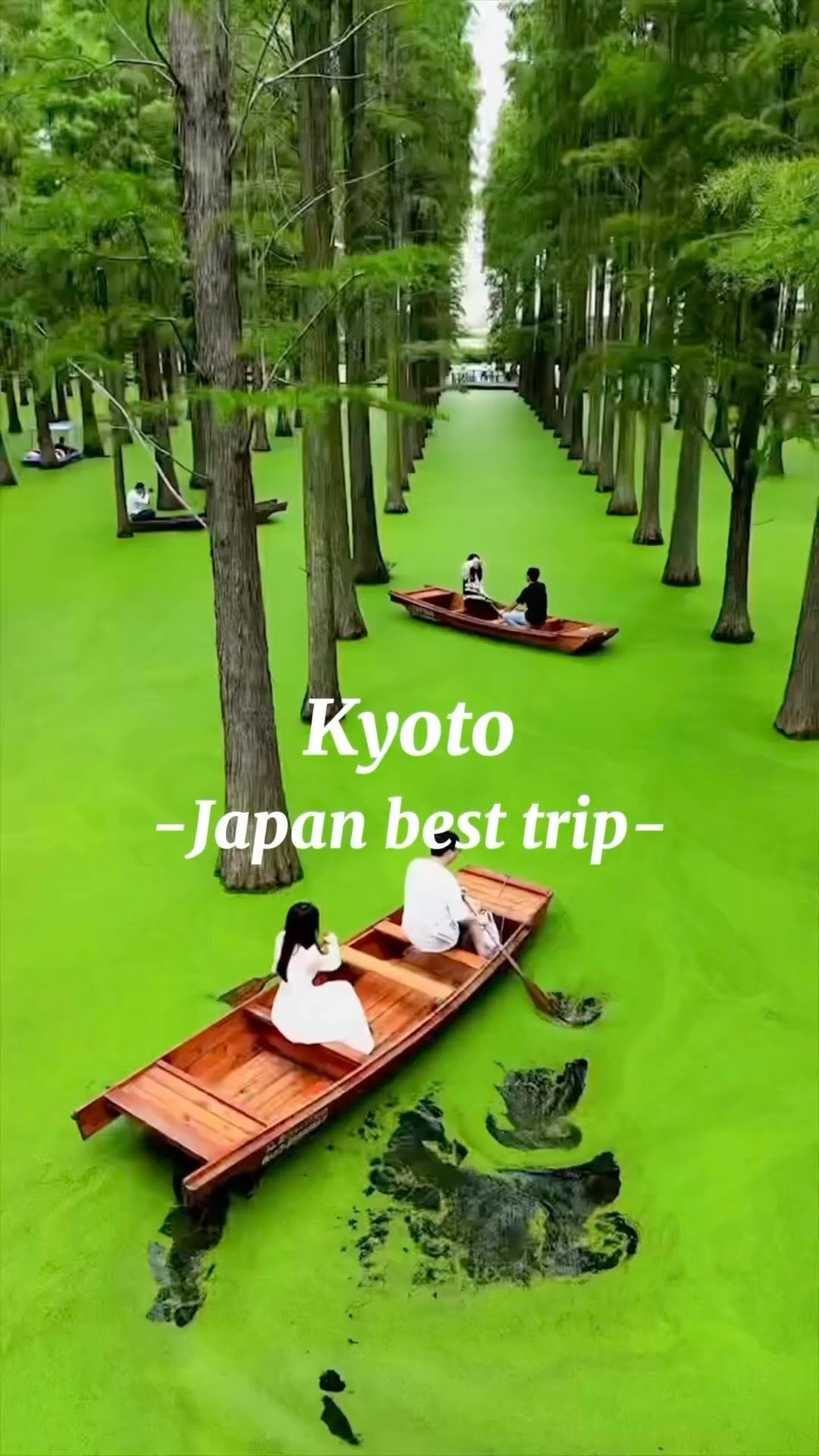 Kyoto's Temples Offer Beautiful Garden Views