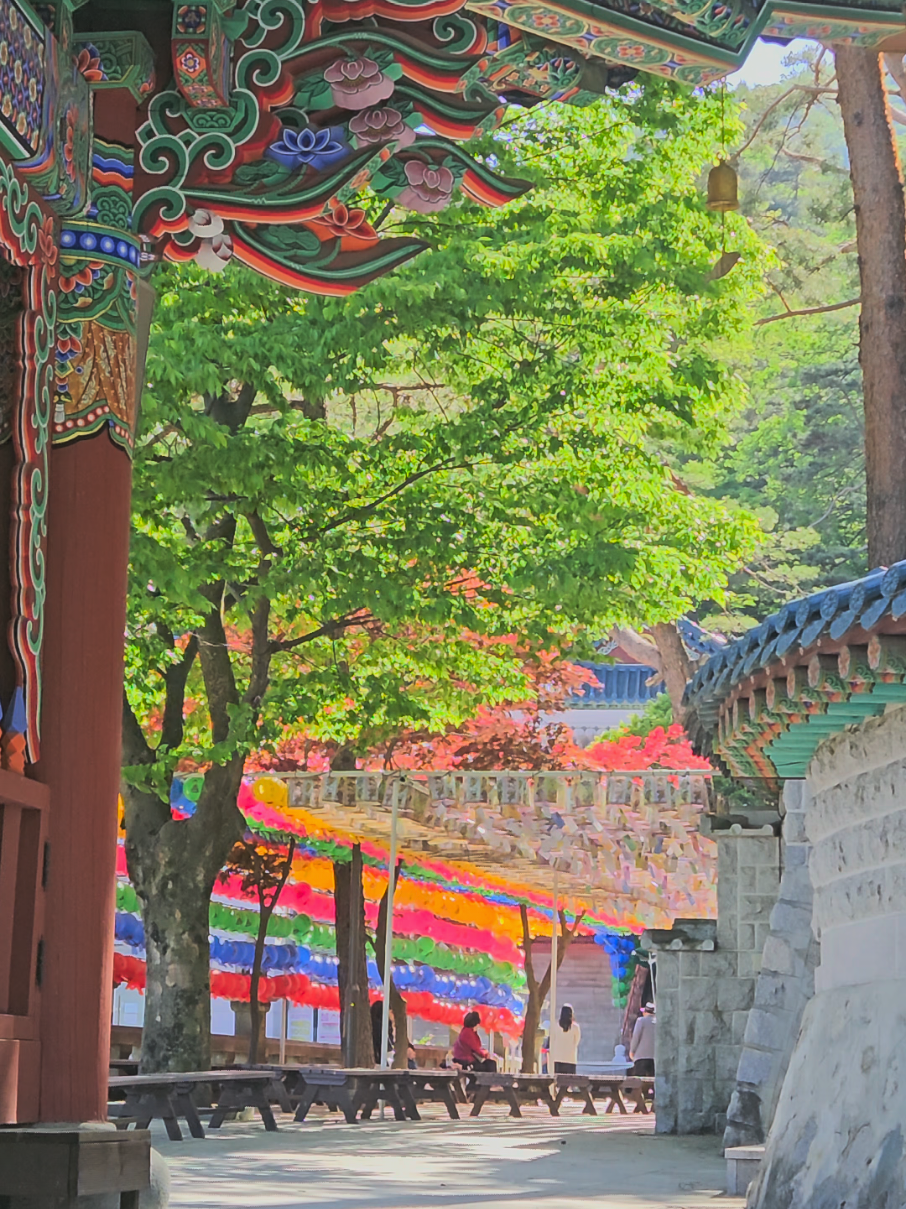 Doseonsa Temple's Mountain Views and Buddha Statue
