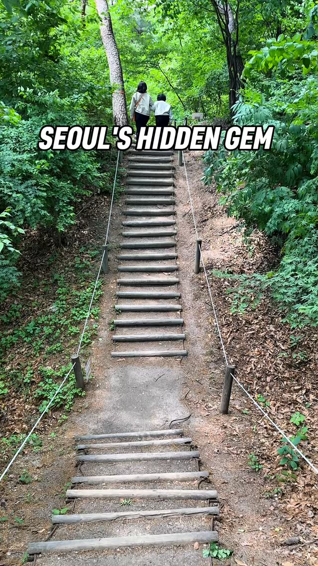 Hongneung Forest Arboretum