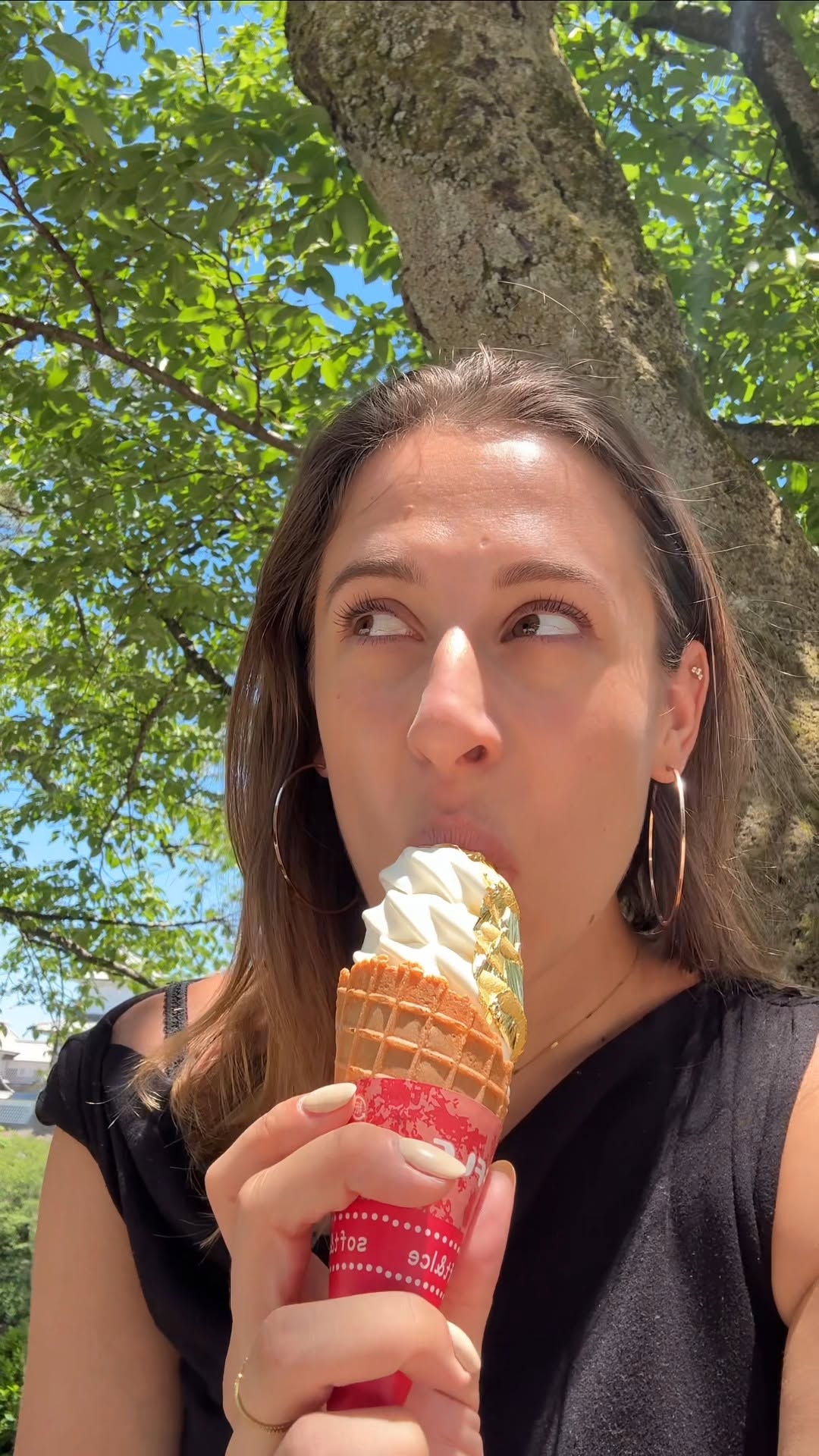 Kanazawa Gardens and Ice Cream Shops