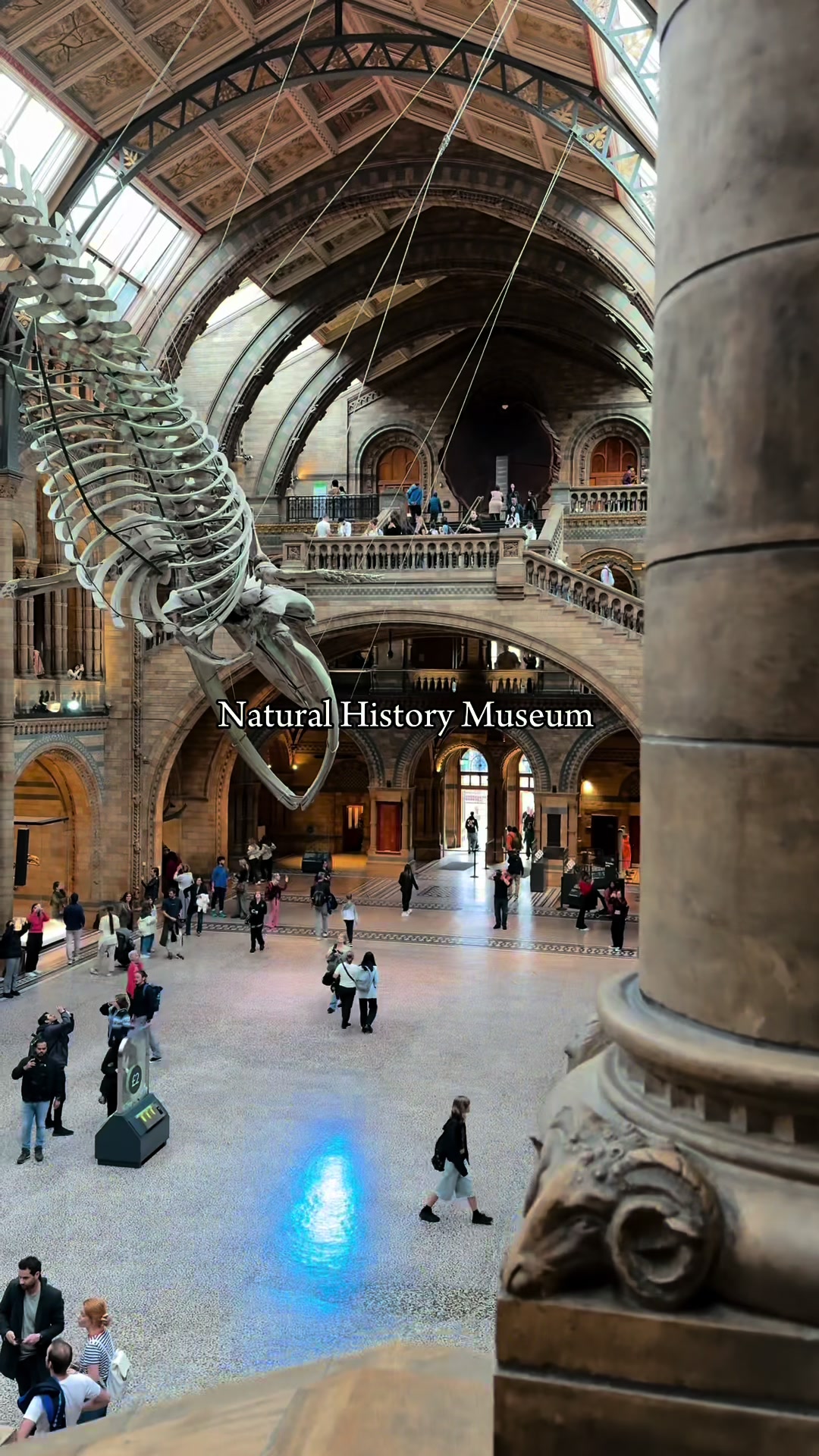 London Landmarks and Unique City Stops