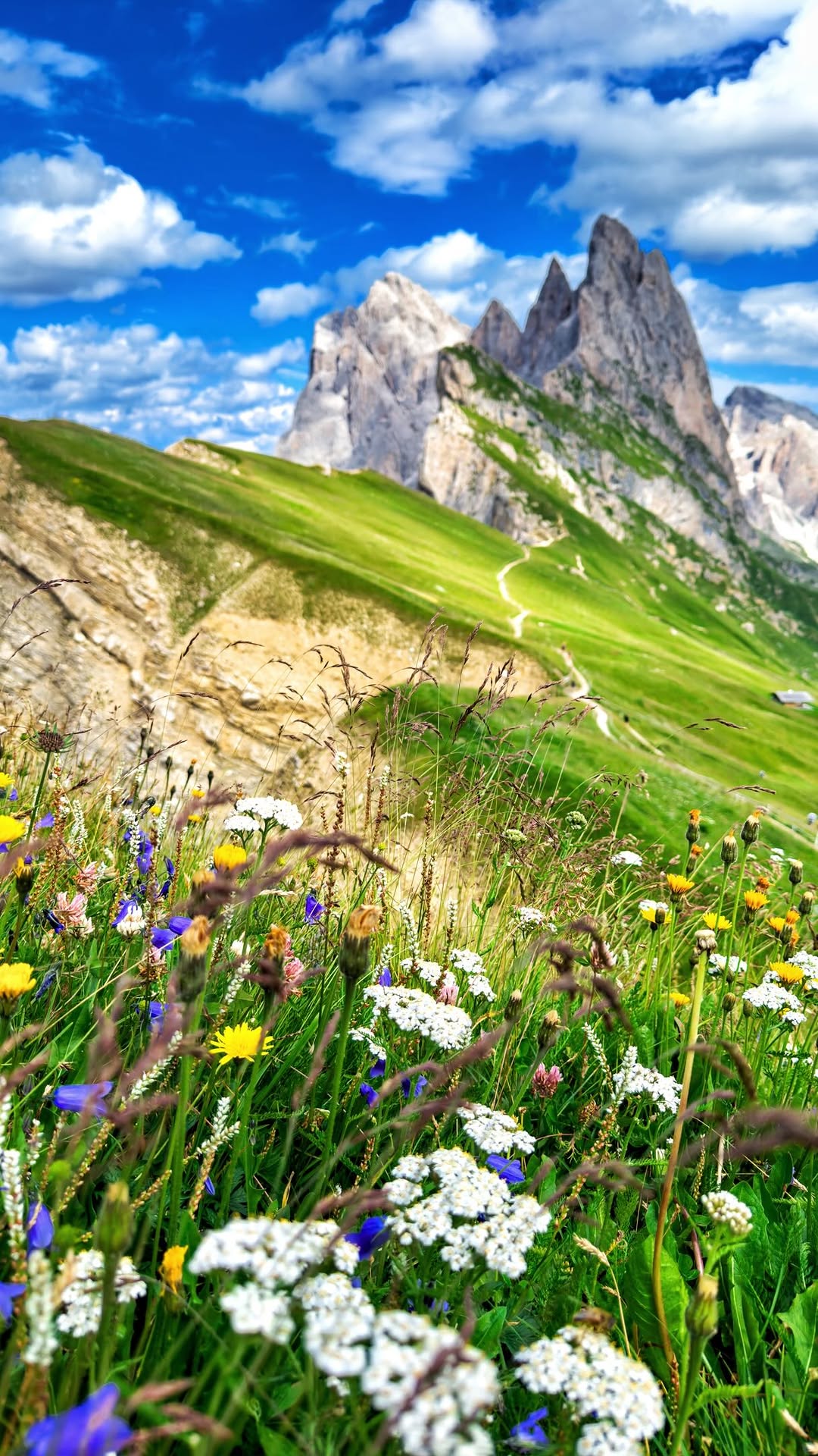 Easy-Access Dolomites Gems for Scenic Views