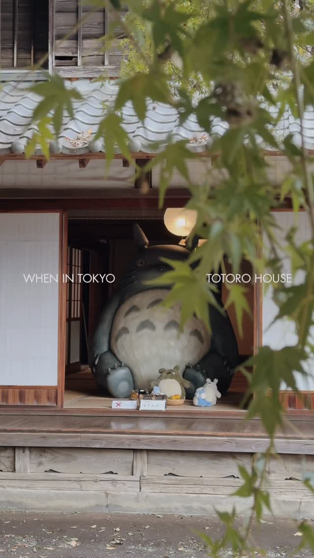 Totoro Fund House Inspires Childhood Dreams