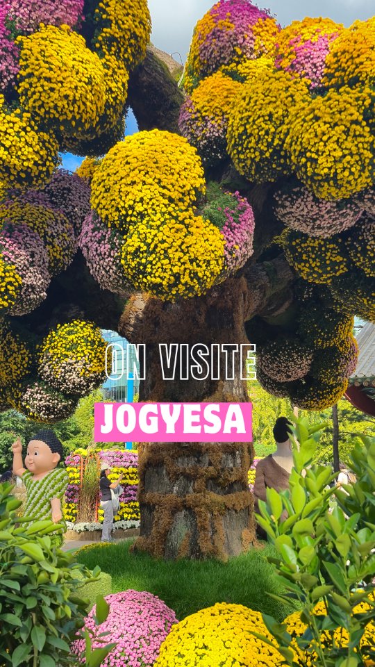 Jogyesa Temple: A Place of Worship