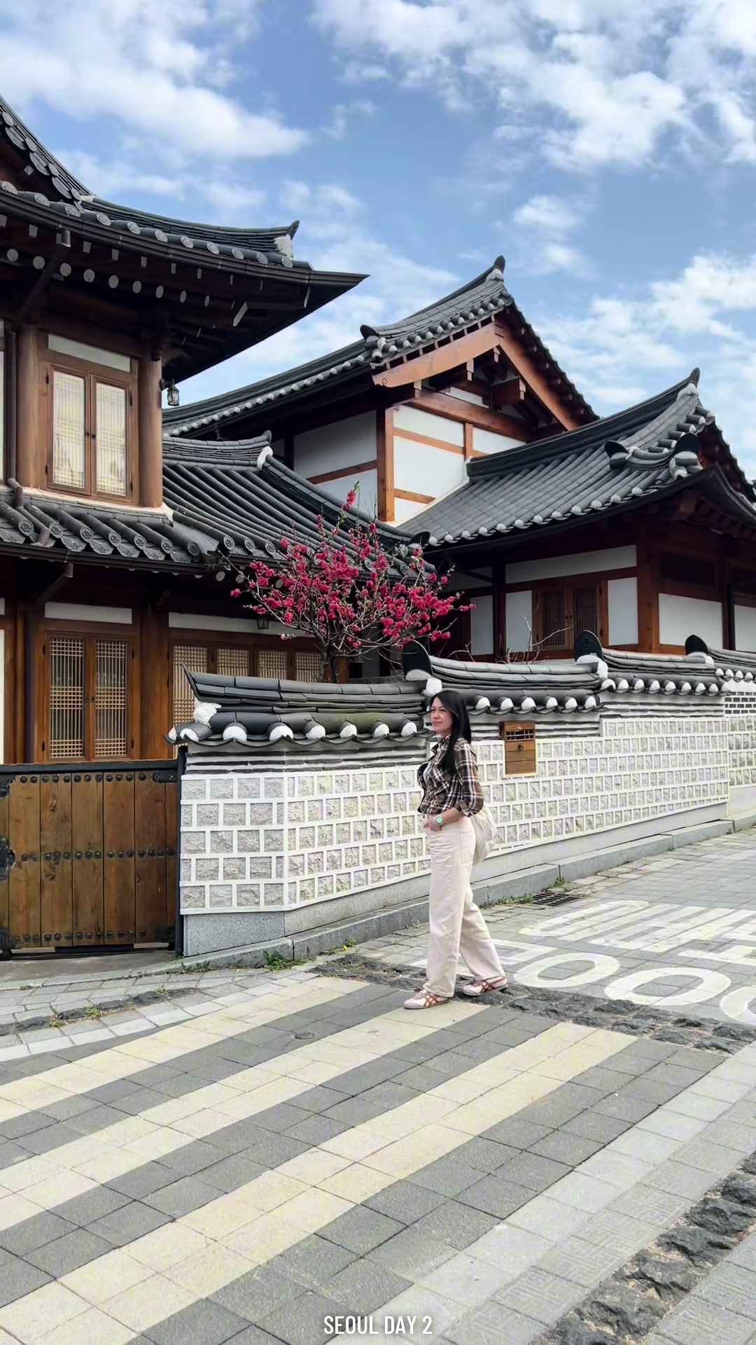 Seoul Spots: Hanok Villages, Cafes, and Street Food