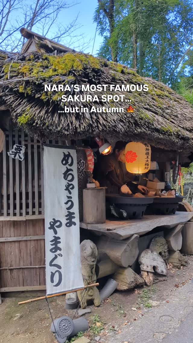 4 Places in Yoshino