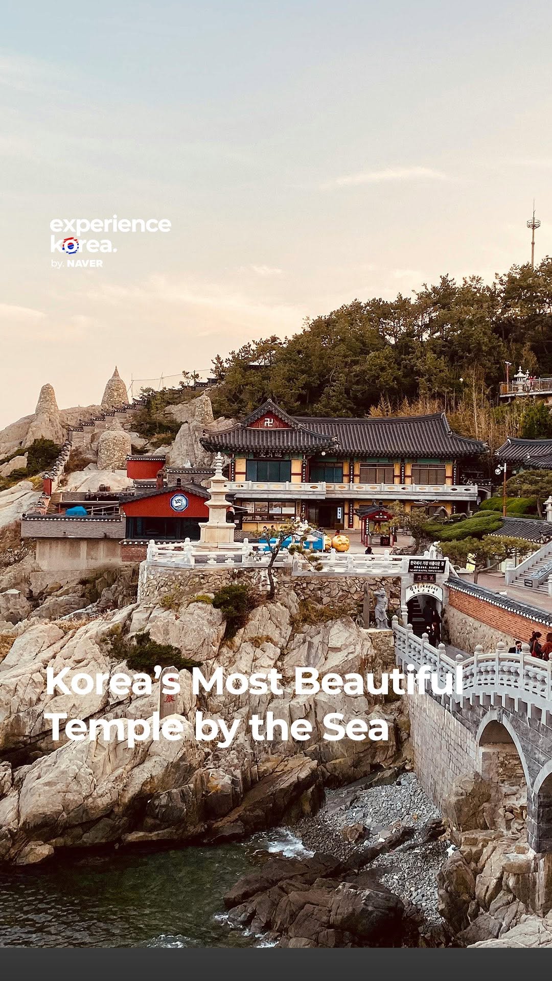 Busan's Coastal Temple and Nearby Attractions