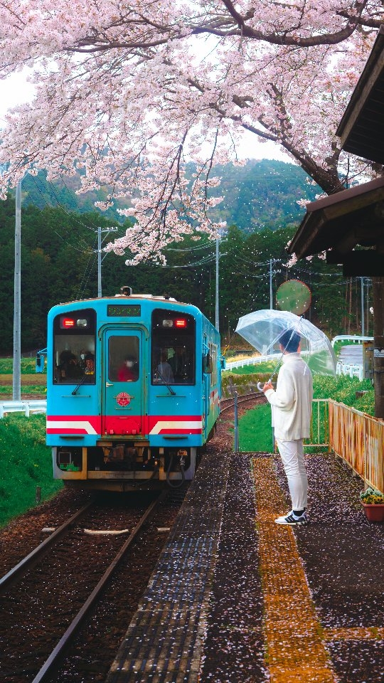 8 Attractions in Japan
