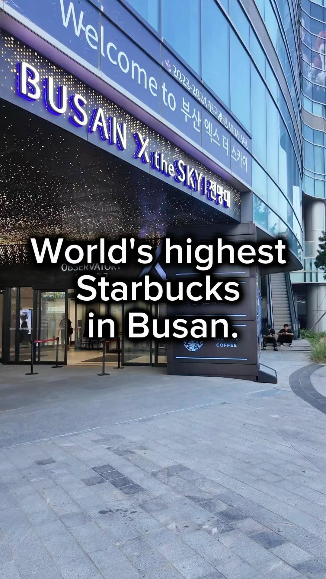 Busan's Sky-High Starbucks Views