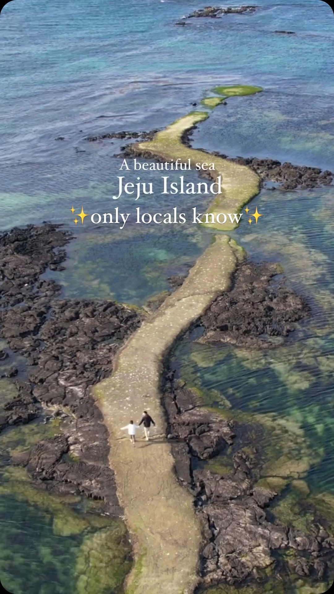 Jeju Island's Hidden Sea Road and Local Delights