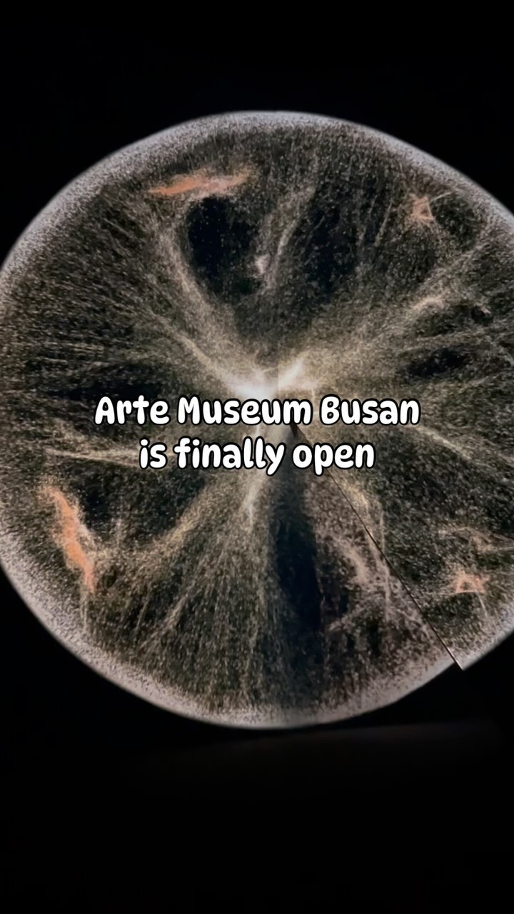 Arte Museum Busan's Immersive Digital Art