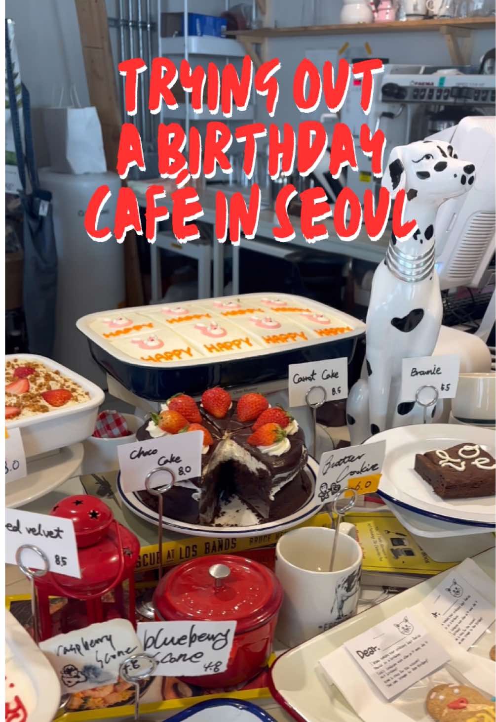 Seoul Cafes For Birthday Celebrations