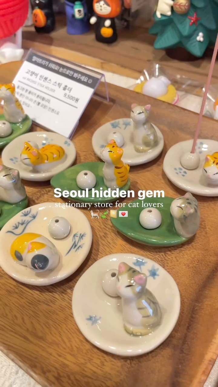 Cat Allergy Shop: A Haven For Cat Lovers