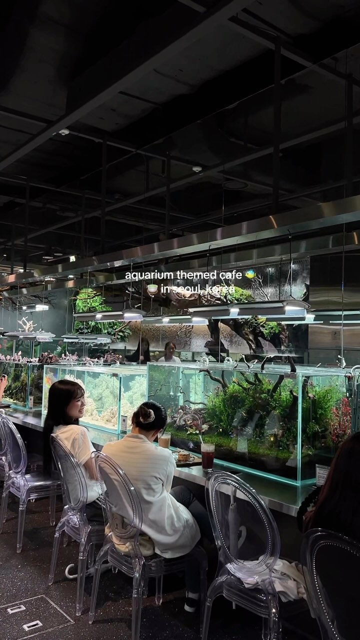 Lotte World Mall and Aqua Garden Cafe