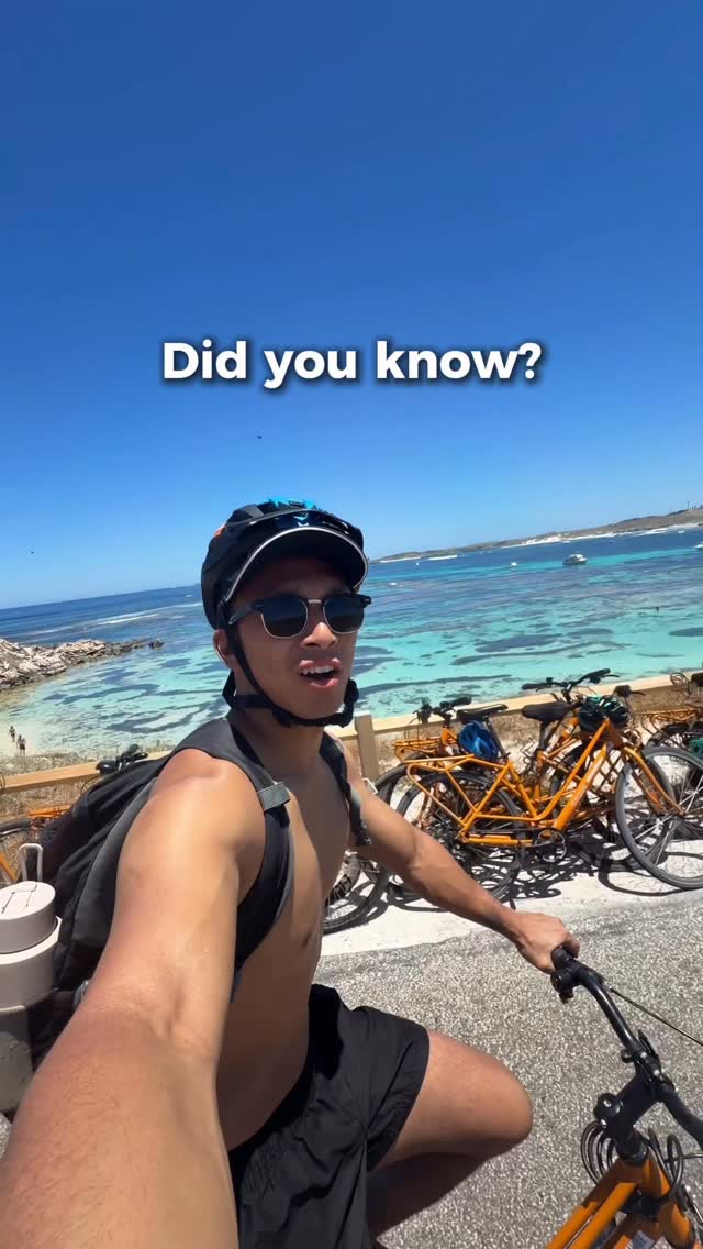 Rottnest Island: Top Australian Island Destinations