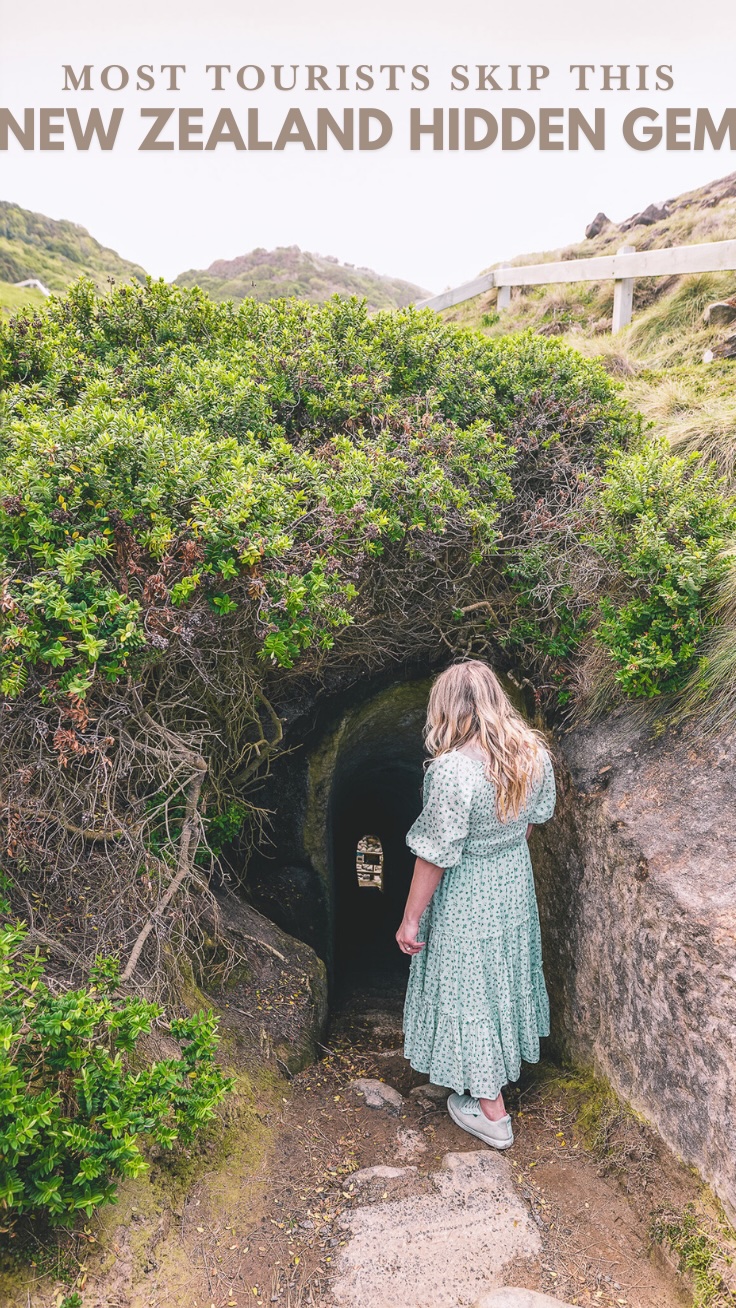 Scenic New Zealand Coastal Spots