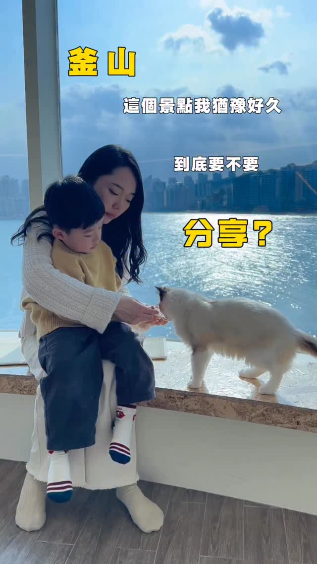 Animal Cafe With Gwangan Bridge Views