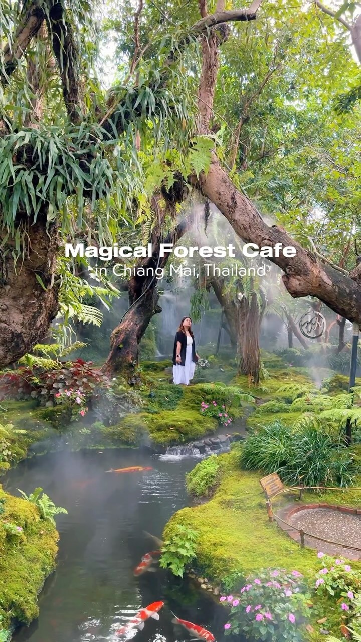 Charming Cafes with Delicious Seafood Dishes