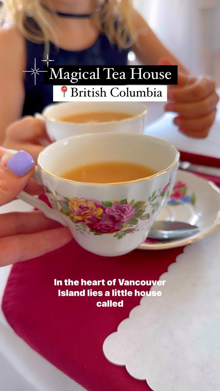 Calico Cat Tea House Offers Magical Tea Experience