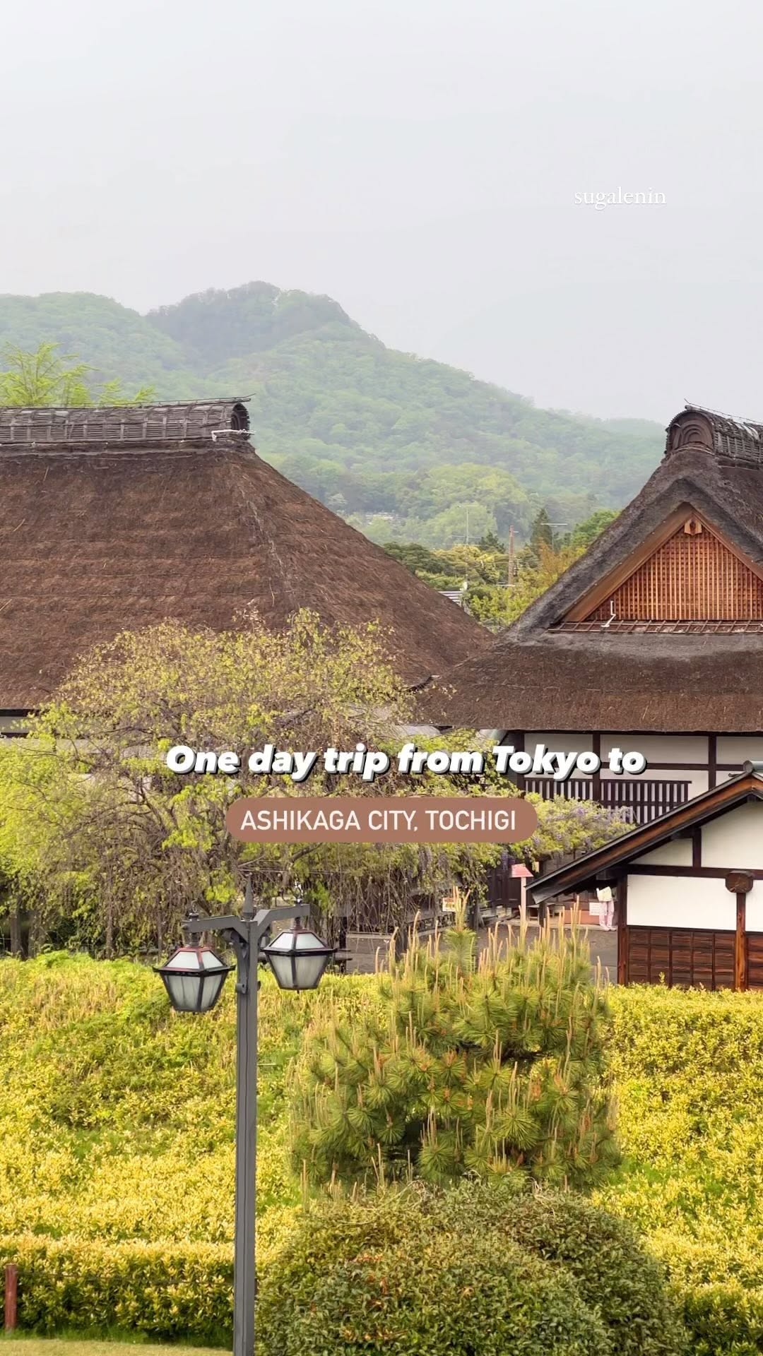7 Places in Ashikaga