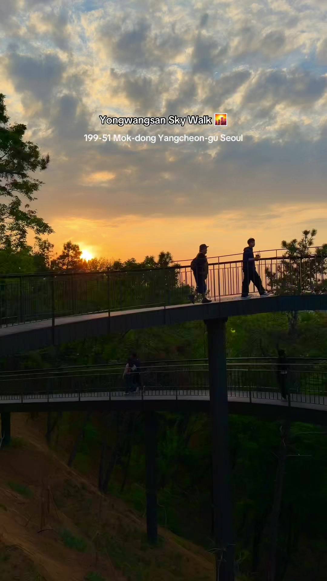 Yongwangsan Sky Walk Above The Clouds