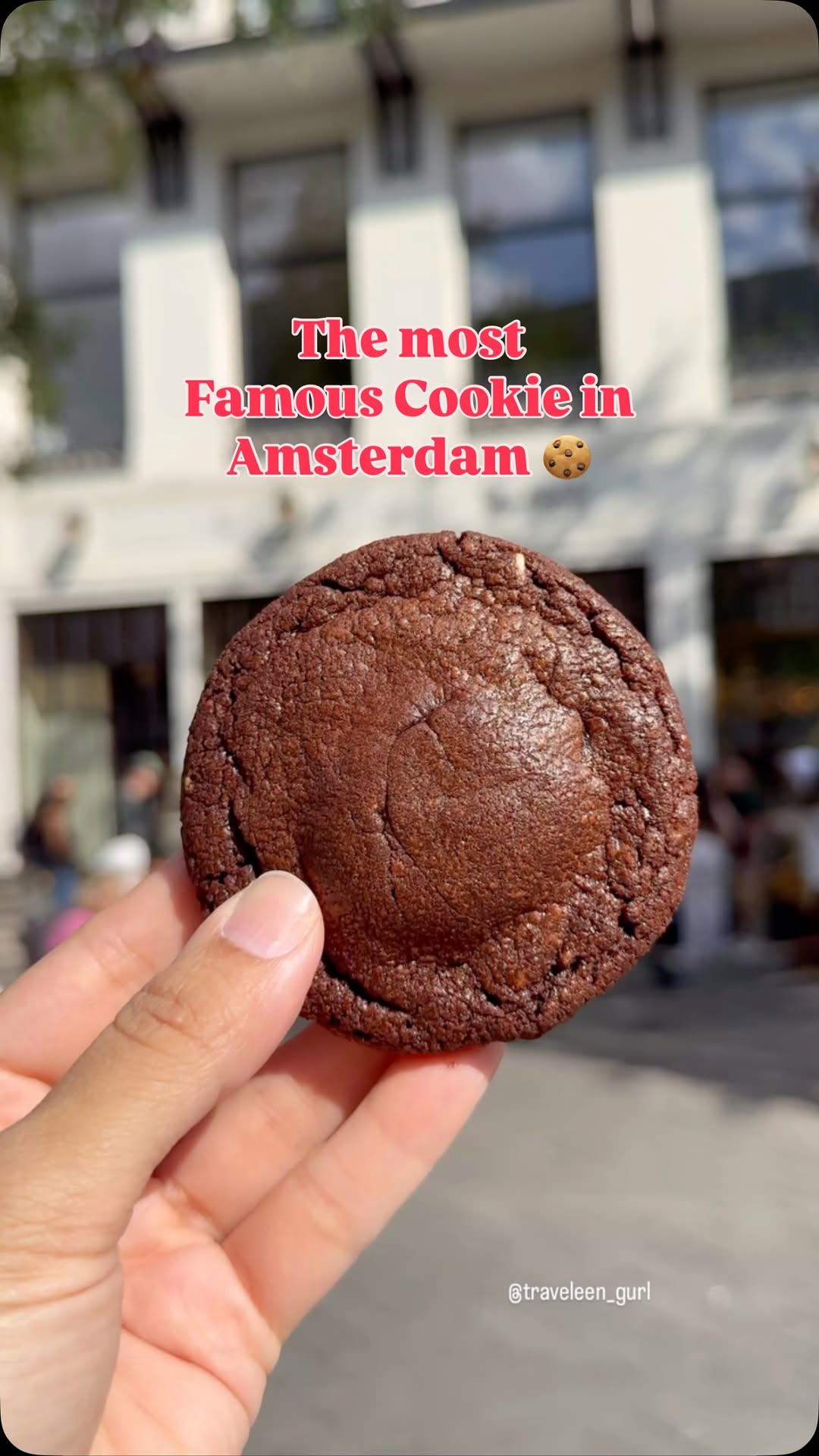 Amsterdam's Famous Dark Chocolate Cookies