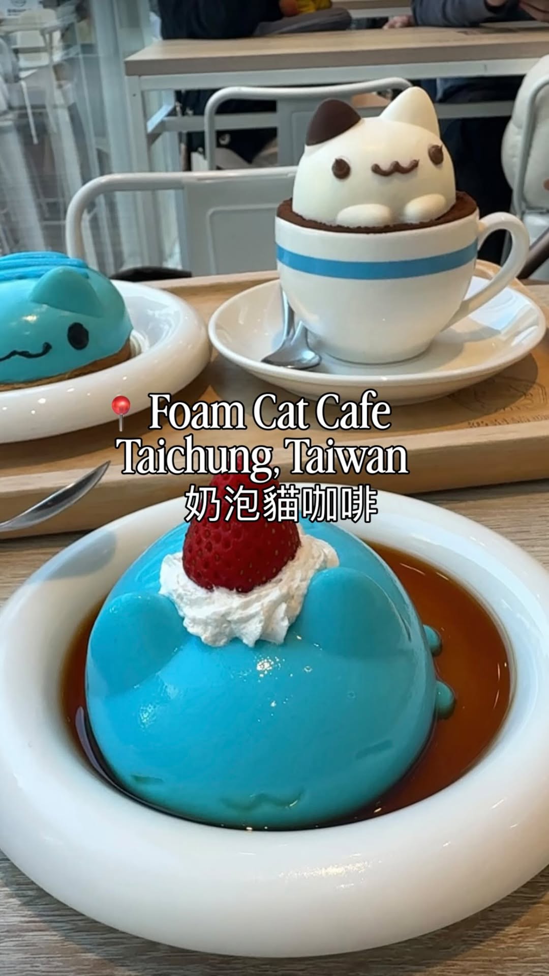 Bugcat Capoo Themed Cat Cafe In Taiwan