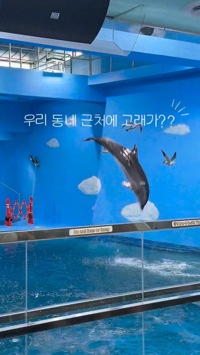 Jangsaengpo's Whale Attractions For Family Fun