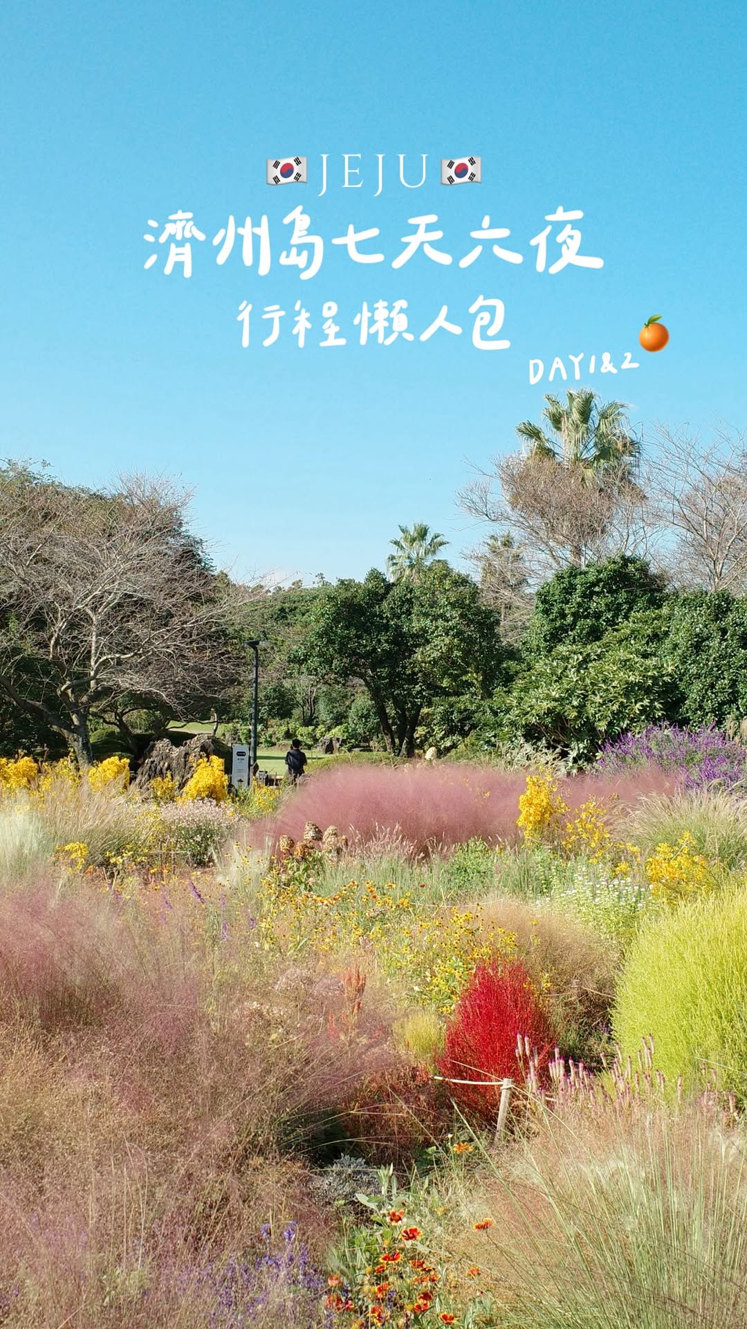 Jeju Island Itinerary: Beaches, Cafes, and Local Eats