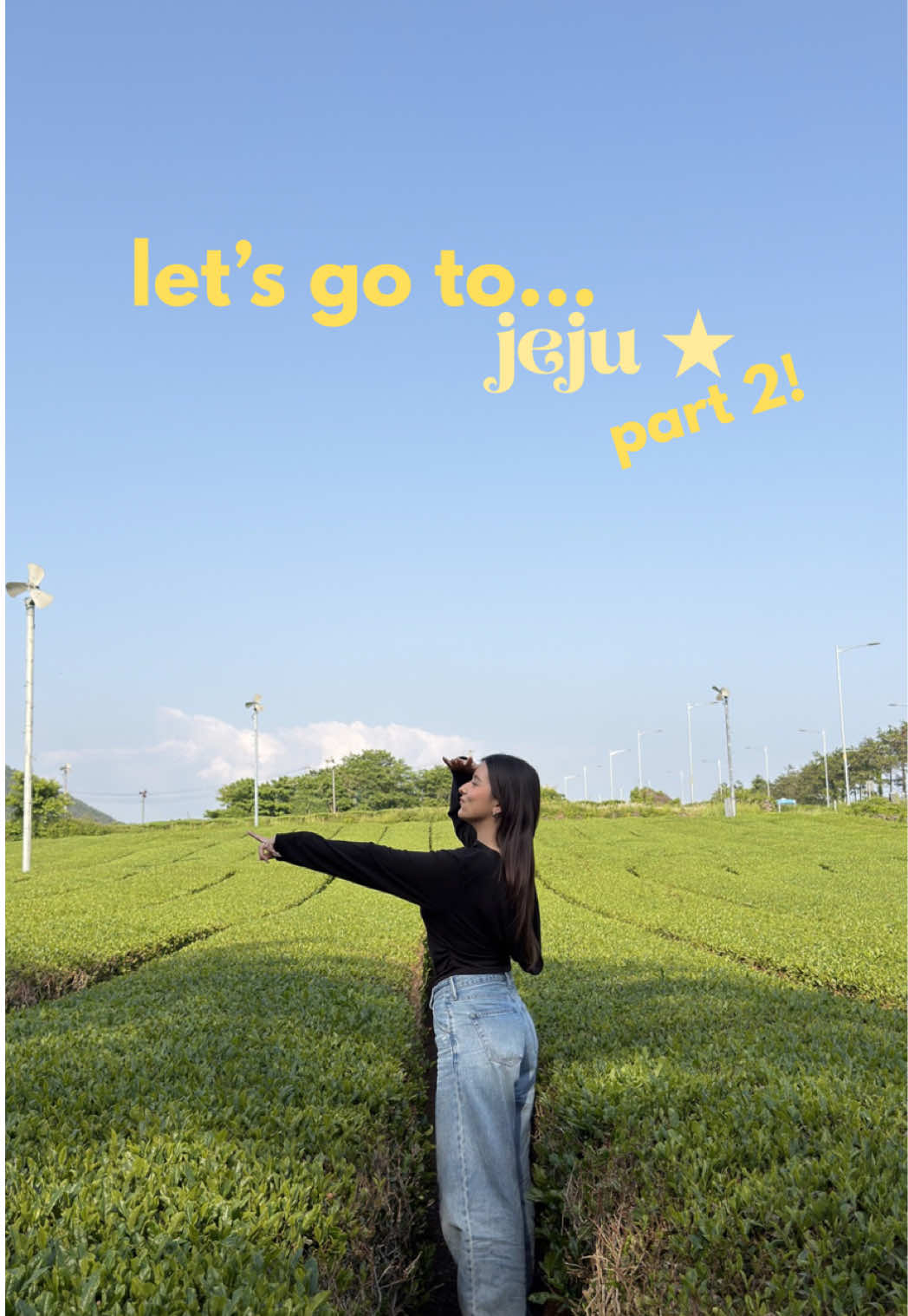 Jeju Island's Natural Wonders and Tea Fields